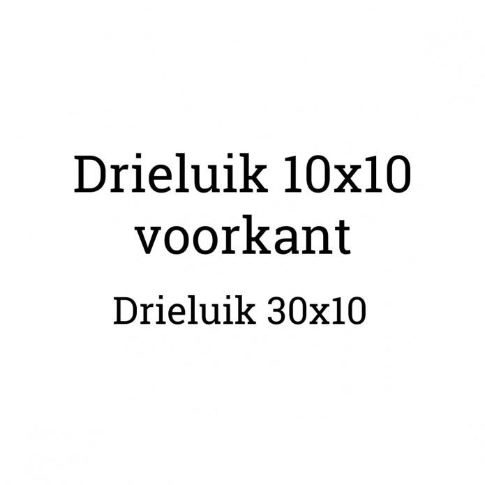 30x10 (Drieluik)