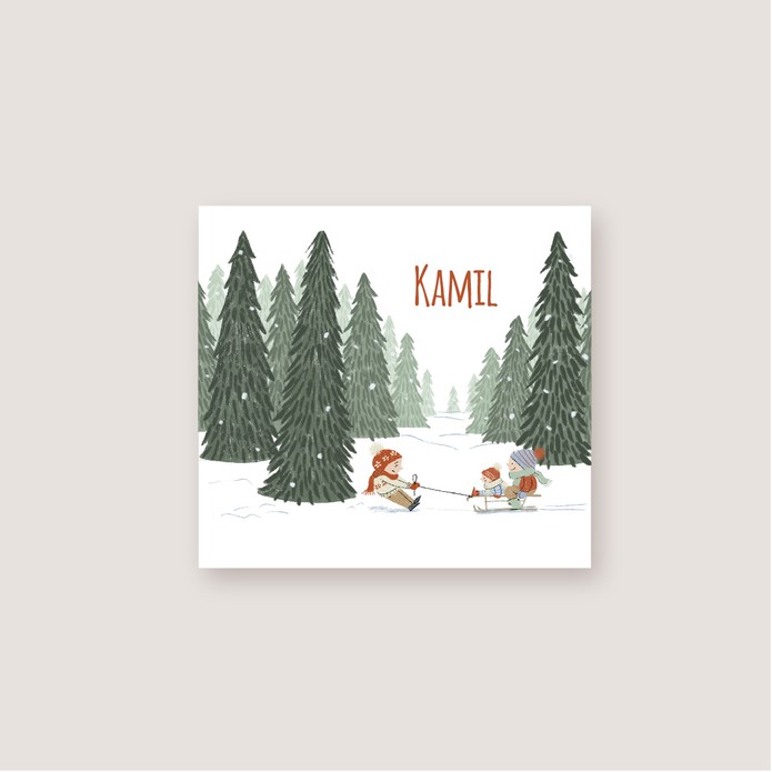 Geboortekaartje in winterbos met slee en kindjes • KAMIL