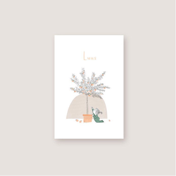 tekening plant abrikozen baby