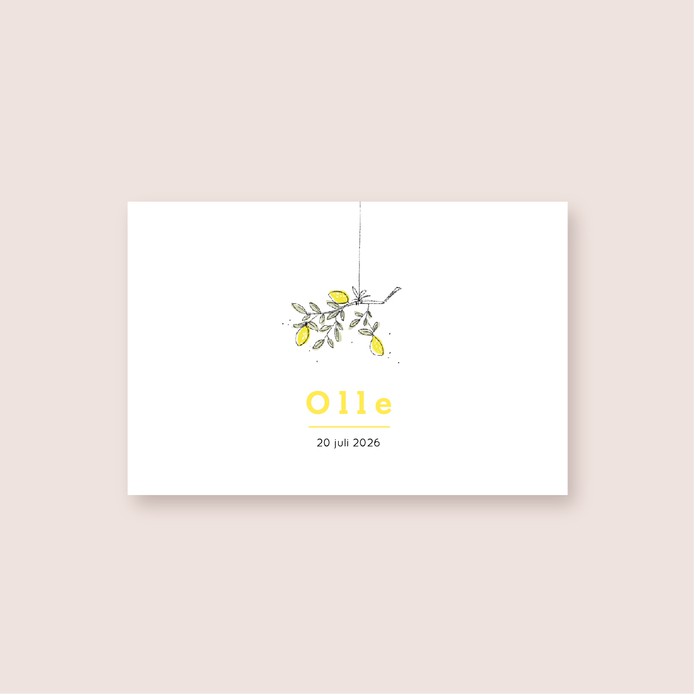 Geboortekaartje minimalistische naam • A6 postkaart • Olle