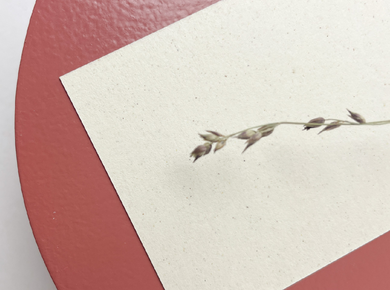 prachtig papier met textuur en spikkels