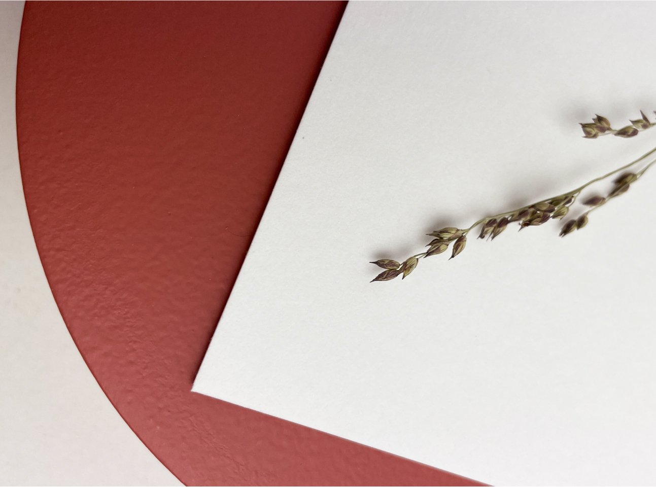 prachtig papier met textuur duurzaam ecologisch