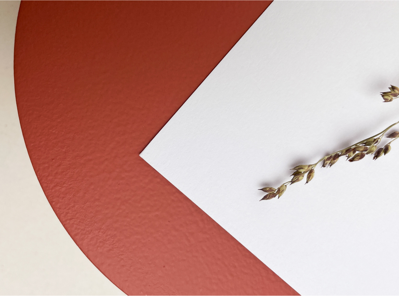 prachtig papier met textuur wit